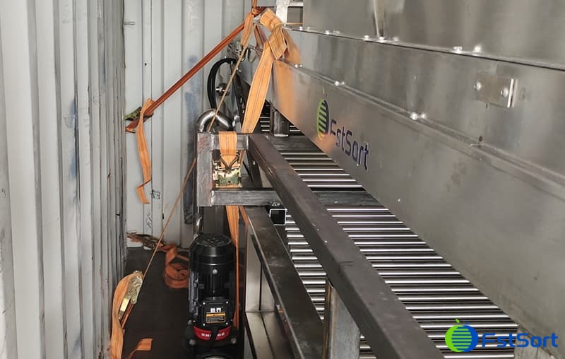 images/1655797956220FstSort lychee grader.jpg